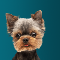BluPet